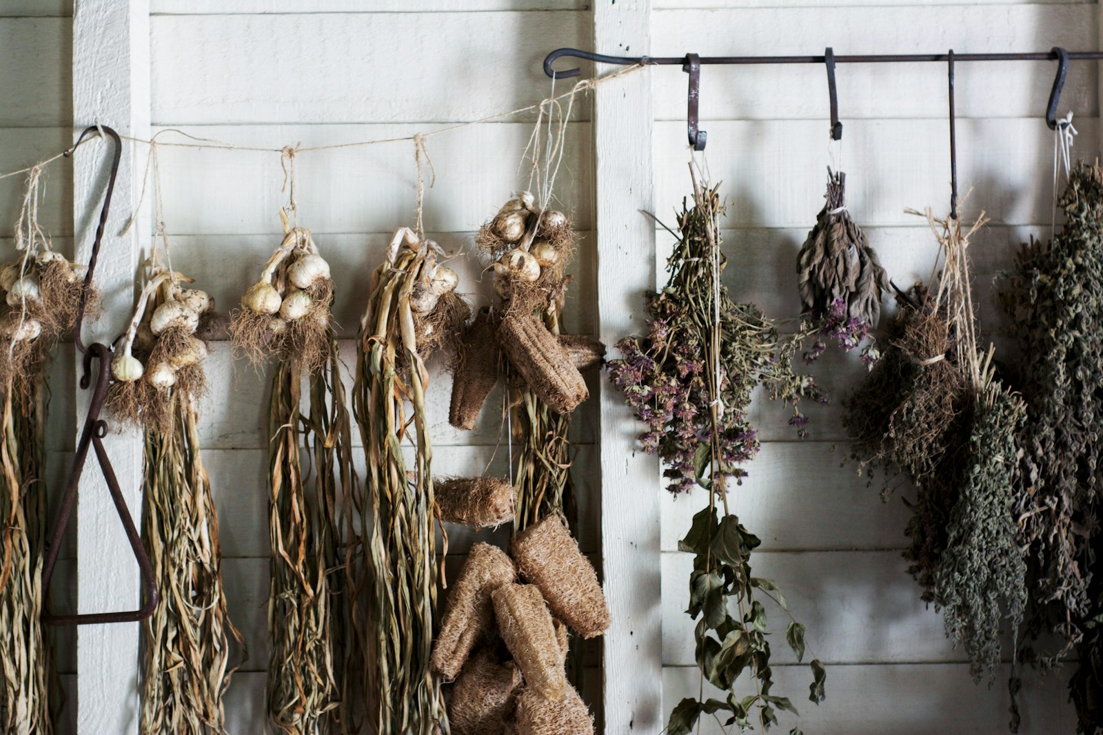 assorted plants hanging on white and black metal hook